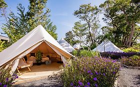 Roost Glamping